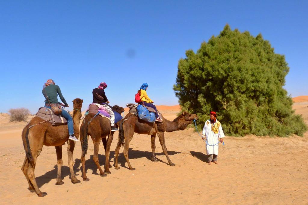 Merzouga Camp And Hostel Bilik gambar