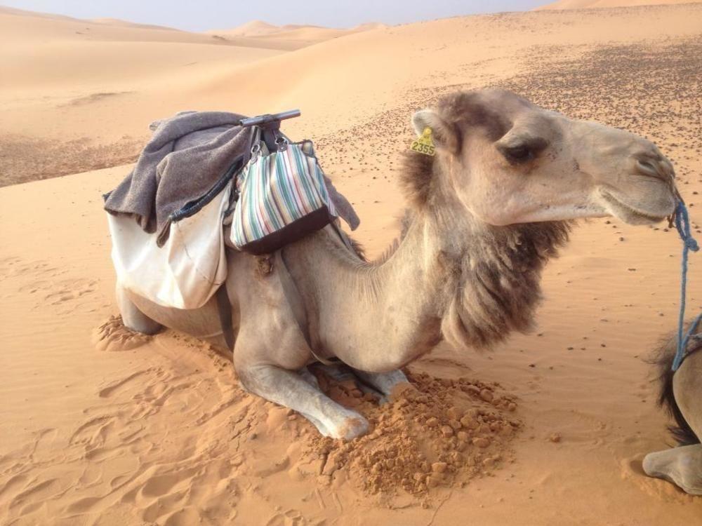 Merzouga Camp And Hostel Luaran gambar